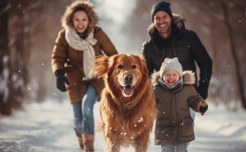Aktive Freizeitgestaltung im Winter: Spaßige Ideen für die ganze Familie